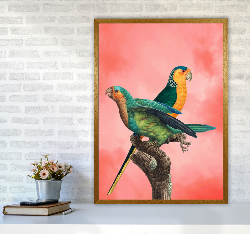 The Birds and the pink sky II Art Print by Seven Trees Design A1 Print Only