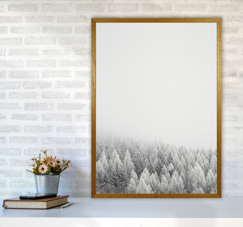 The White Forest Art Print by Seven Trees Design A1 Print Only