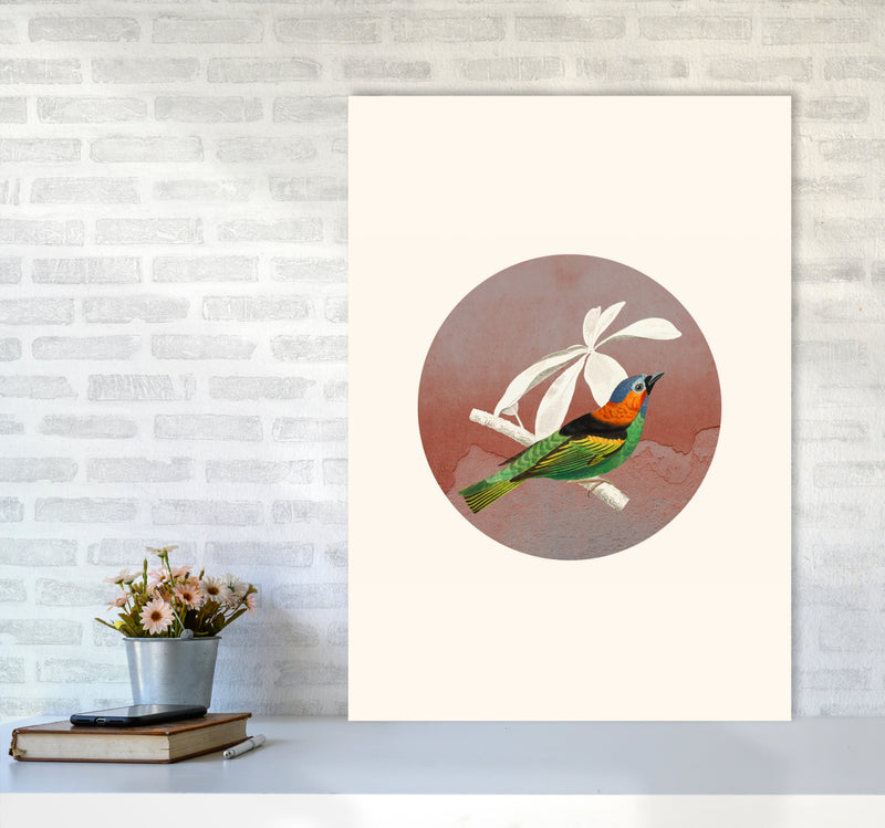 Bird Collage II Art Print by Seven Trees Design A1 Black Frame