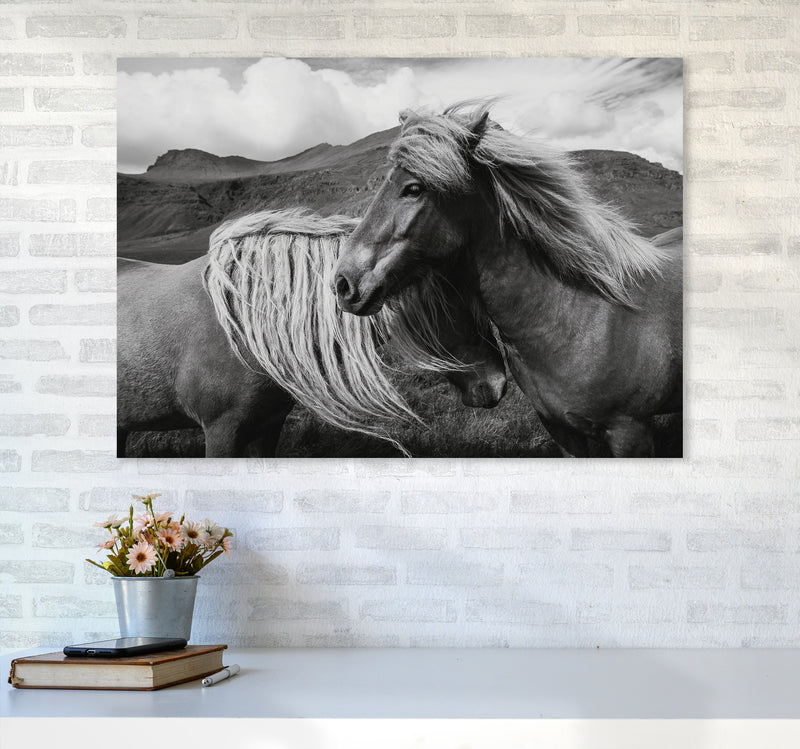 Horses In The Sky Photography Art Print by Seven Trees Design A1 Black Frame