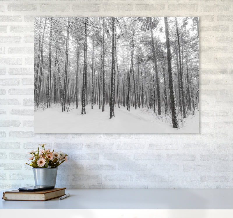 Let it snow forest Art Print by Seven Trees Design A1 Black Frame