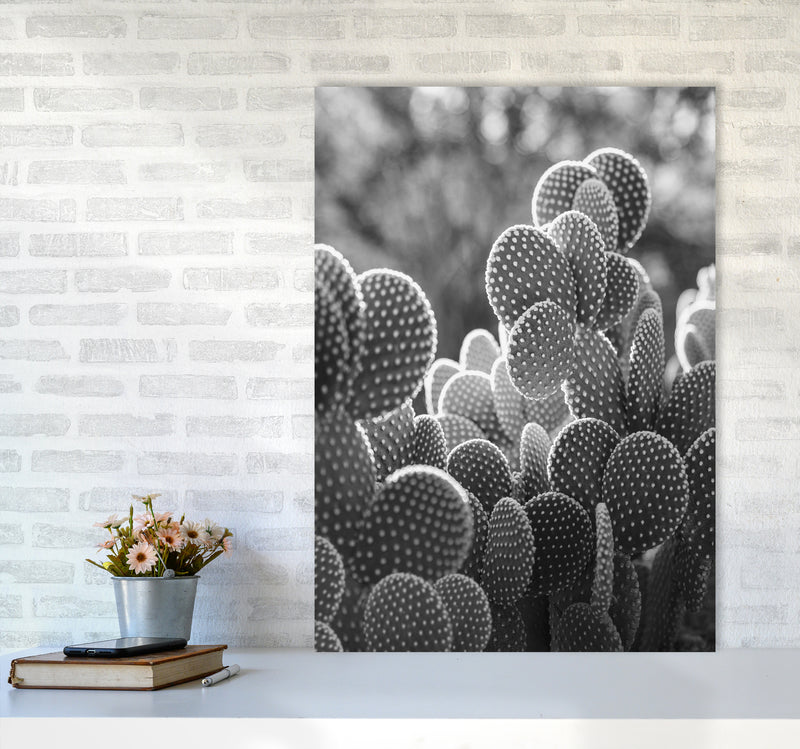 The Cacti Cactus B&W Art Print by Seven Trees Design A1 Black Frame