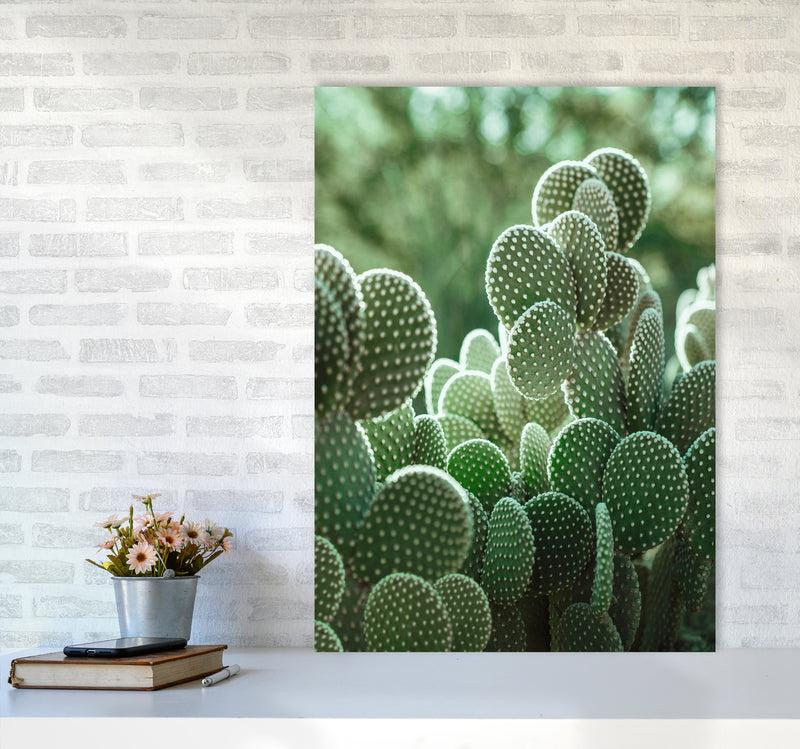 The Cacti Cactus Photography Art Print by Seven Trees Design A1 Black Frame