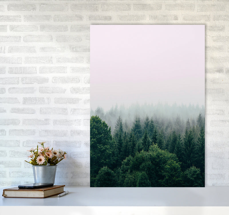 The Fog And The Forest I Photography Art Print by Seven Trees Design A1 Black Frame