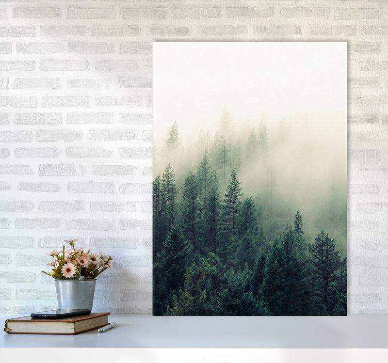 The Fog And The Forest II Photography Art Print by Seven Trees Design A1 Black Frame