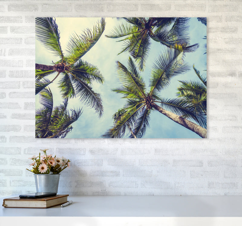 The Palms Photography Art Print by Seven Trees Design A1 Black Frame