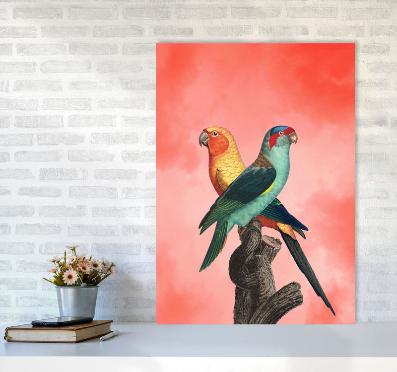 The Birds and the pink sky I Art Print by Seven Trees Design A1 Black Frame