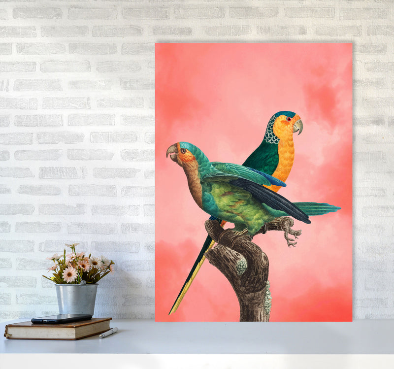 The Birds and the pink sky II Art Print by Seven Trees Design A1 Black Frame