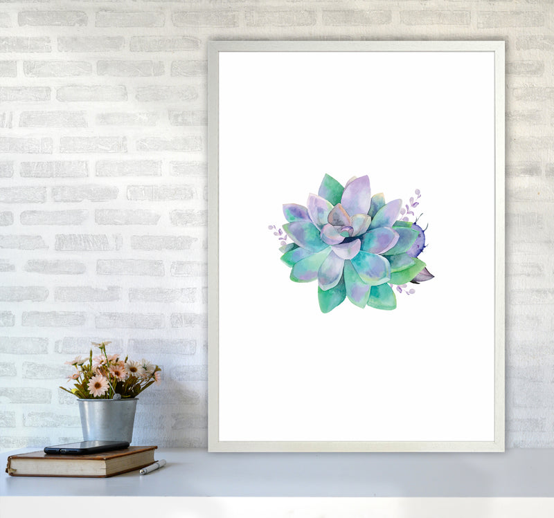 Aqua Succulent Botanical Art Print by Seven Trees Design A1 Oak Frame