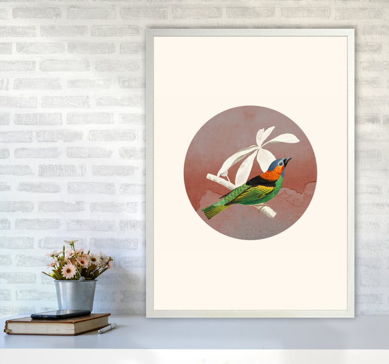 Bird Collage II Art Print by Seven Trees Design A1 Oak Frame