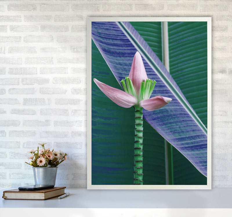 The Banana Flower Art Print by Seven Trees Design A1 Oak Frame