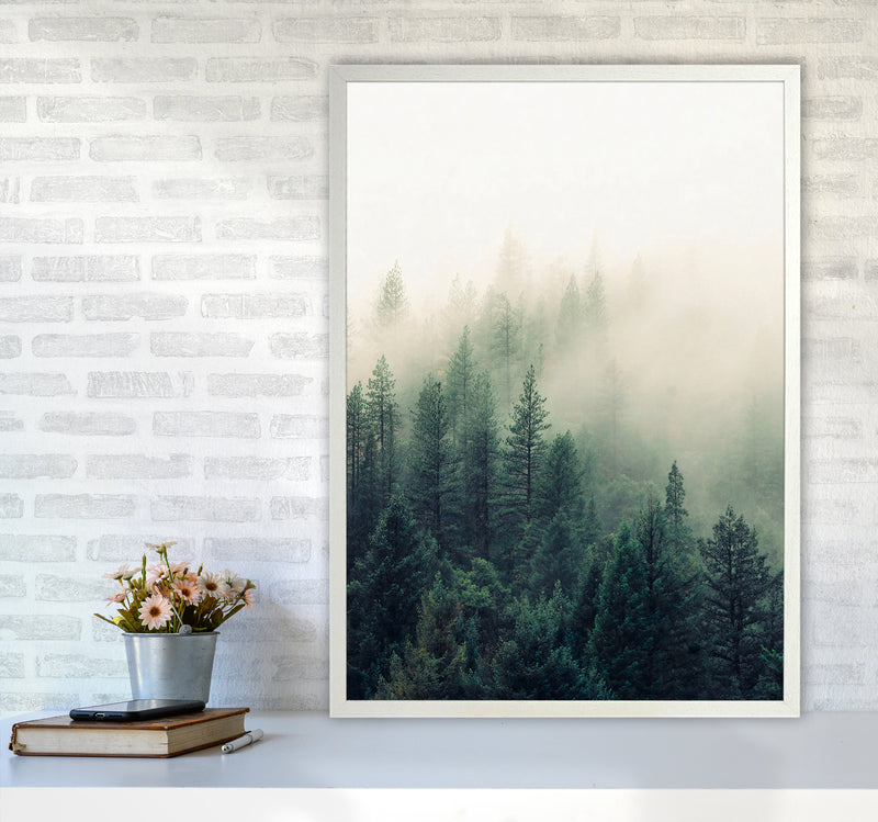 The Fog And The Forest II Photography Art Print by Seven Trees Design A1 Oak Frame