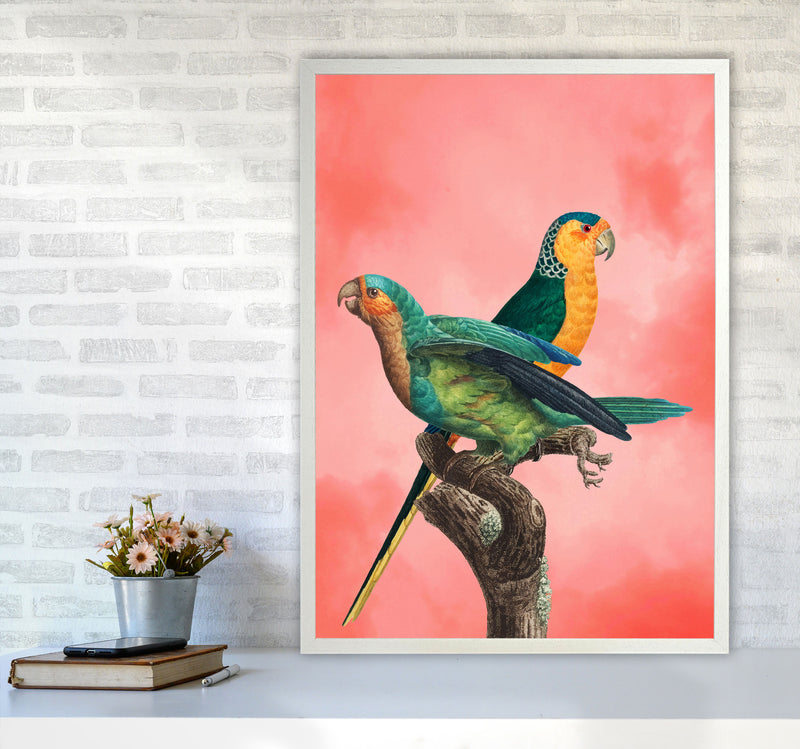 The Birds and the pink sky II Art Print by Seven Trees Design A1 Oak Frame