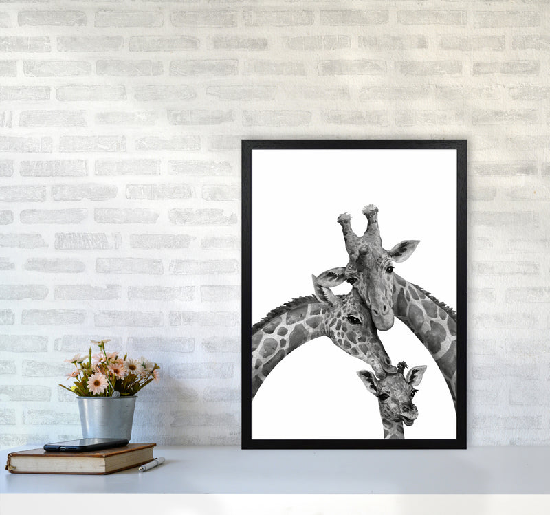 Giraffe Family Photography Art Print by Seven Trees Design A2 White Frame