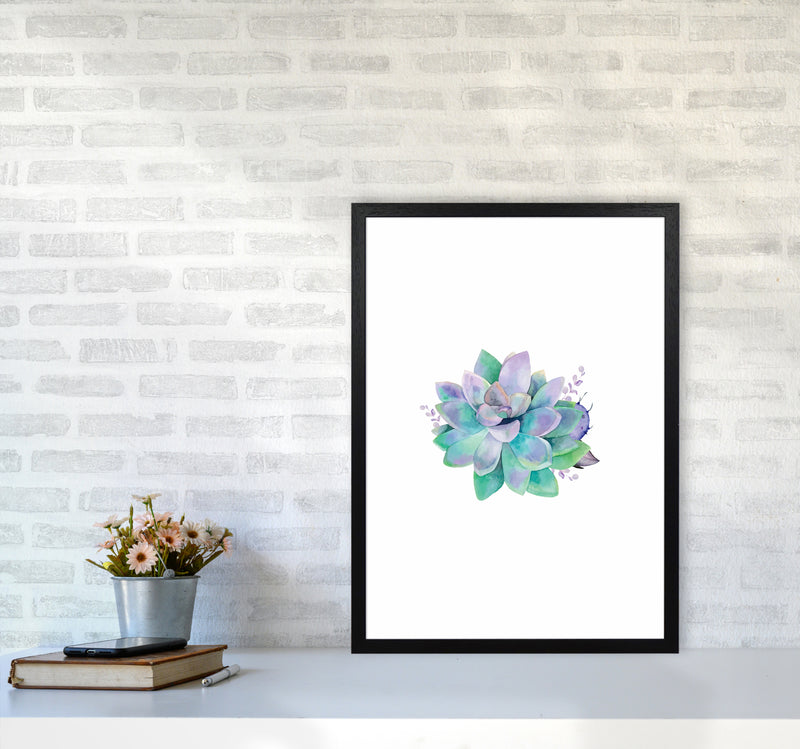 Aqua Succulent Botanical Art Print by Seven Trees Design A2 White Frame