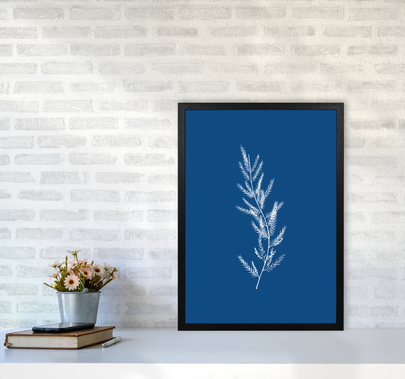 Blue Botanical II Art Print by Seven Trees Design A2 White Frame