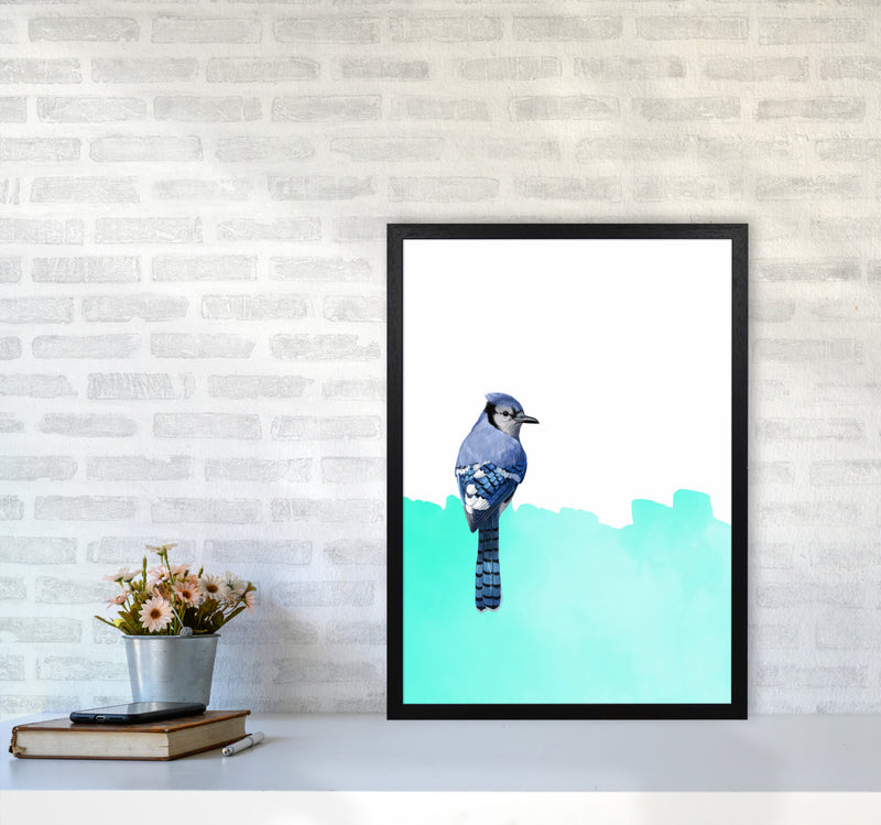 Bird Blue Art Print by Seven Trees Design A2 White Frame