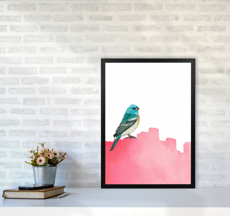 Bird Pink Art Print by Seven Trees Design A2 White Frame