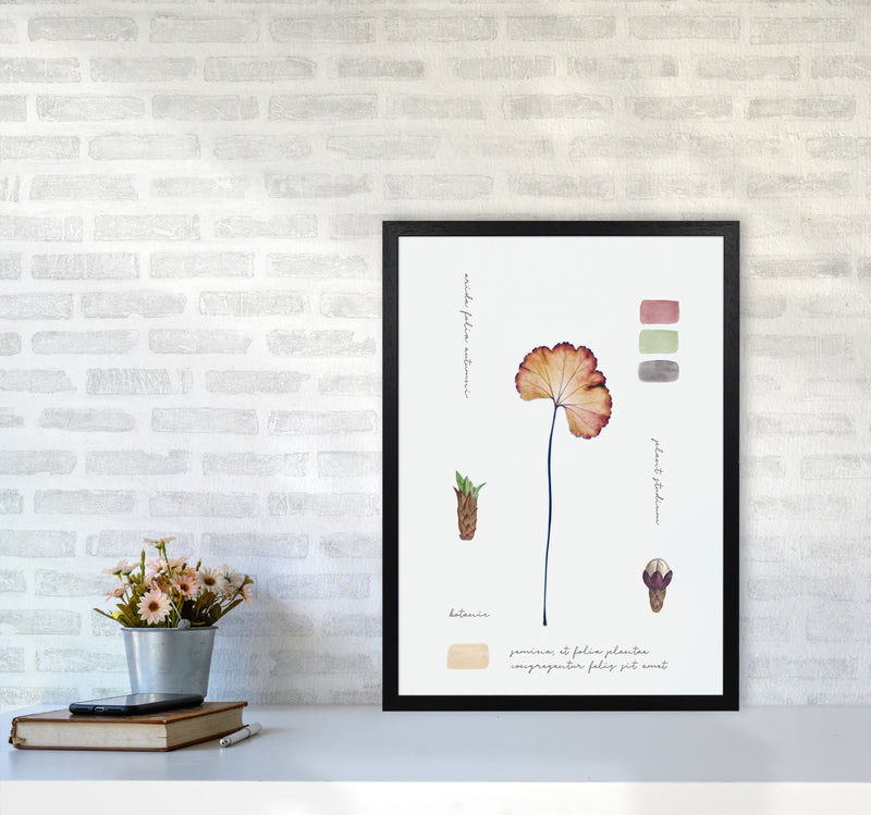 Botanic Notes Art Print by Seven Trees Design A2 White Frame