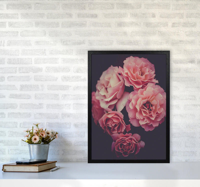 Dreamy Roses Art Print by Seven Trees Design A2 White Frame