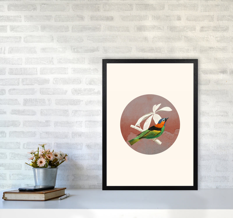 Bird Collage II Art Print by Seven Trees Design A2 White Frame