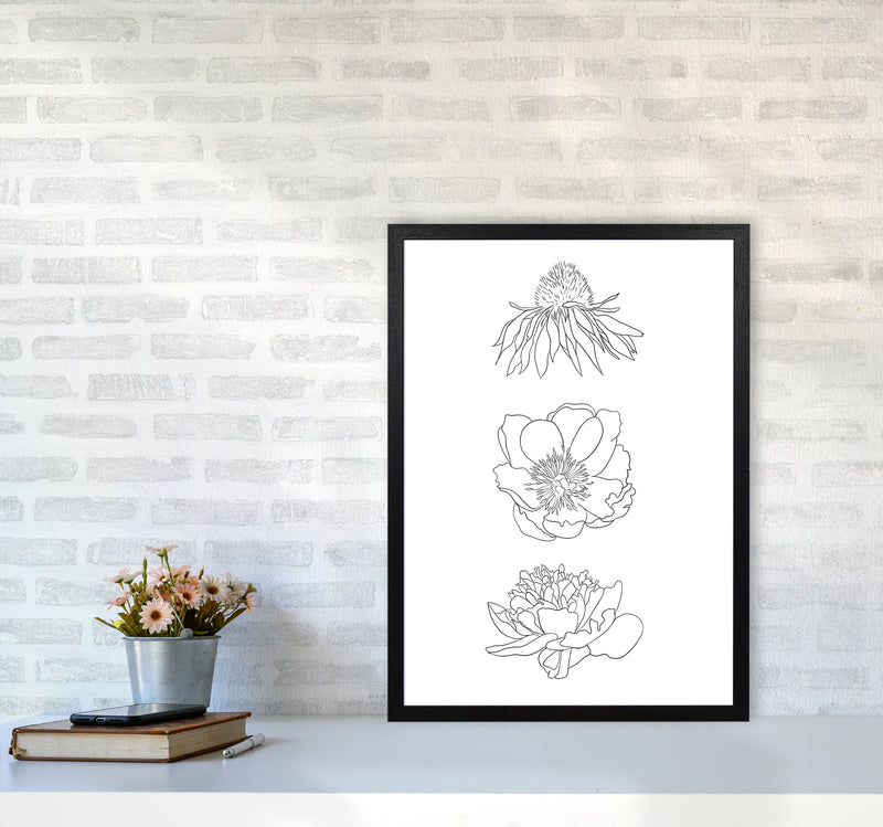 Hand Drawn Flowers Art Print by Seven Trees Design A2 White Frame