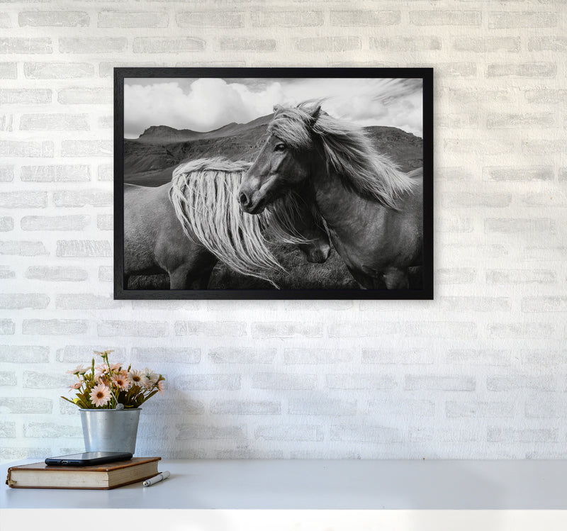 Horses In The Sky Photography Art Print by Seven Trees Design A2 White Frame