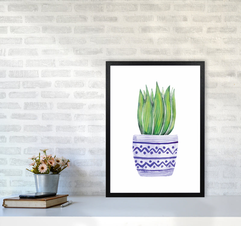 The Blue Succulent Art Print by Seven Trees Design A2 White Frame