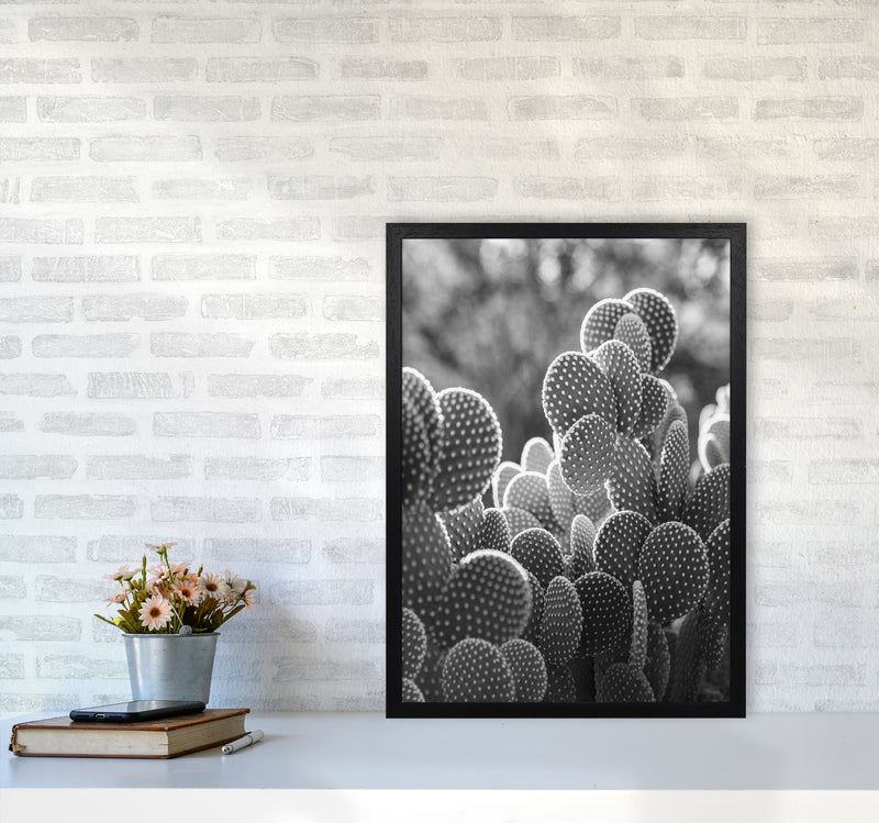 The Cacti Cactus B&W Art Print by Seven Trees Design A2 White Frame