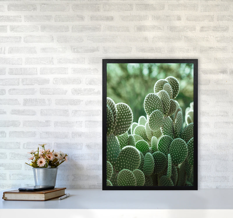 The Cacti Cactus Photography Art Print by Seven Trees Design A2 White Frame