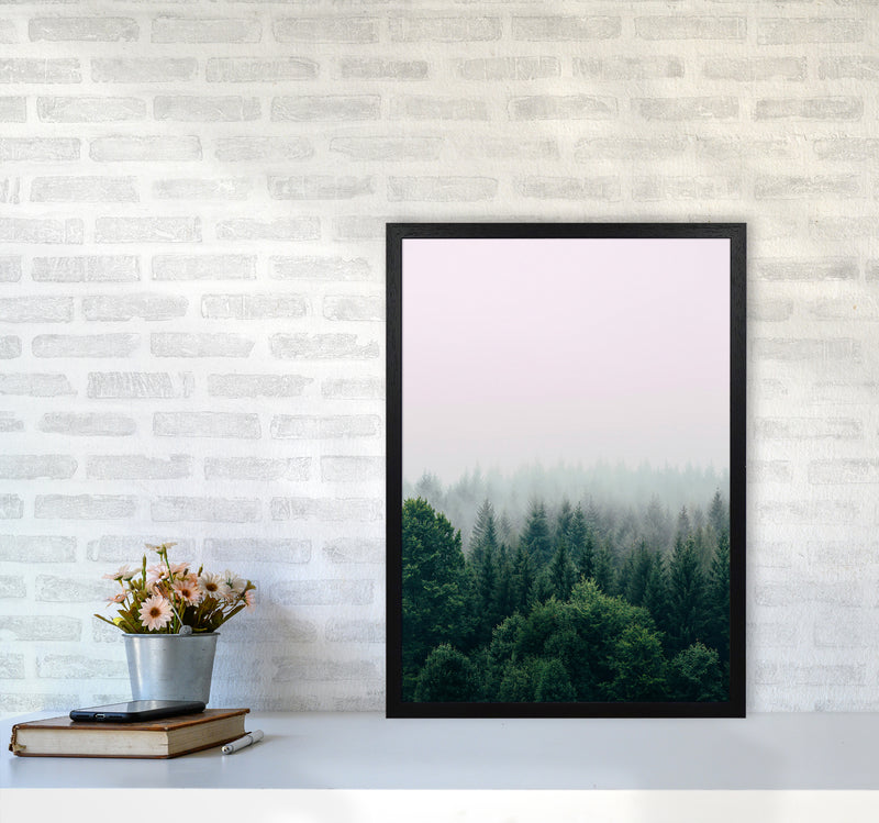 The Fog And The Forest I Photography Art Print by Seven Trees Design A2 White Frame
