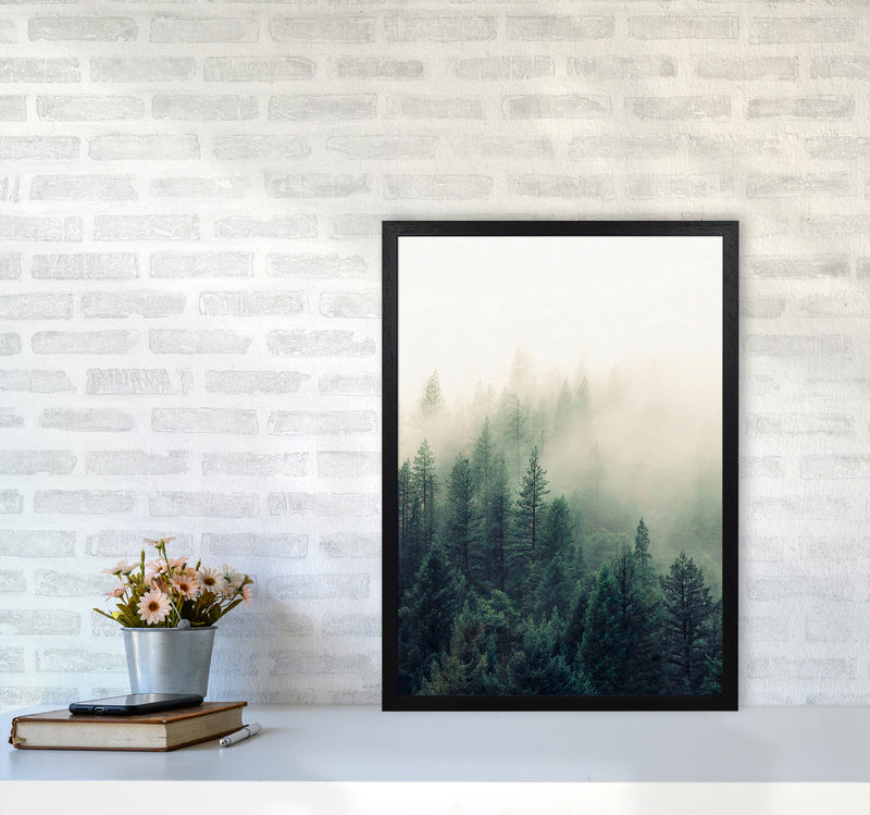 The Fog And The Forest II Photography Art Print by Seven Trees Design A2 White Frame