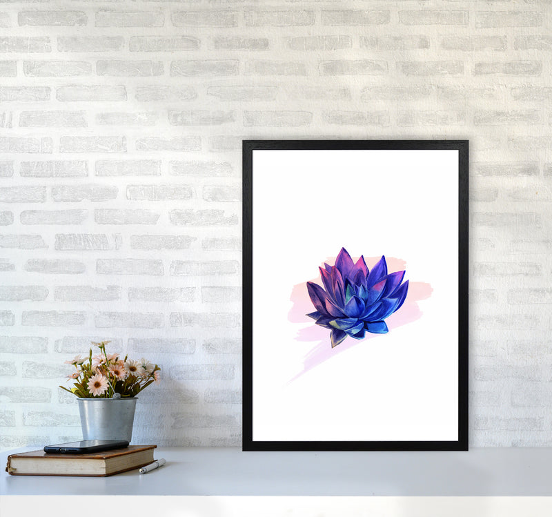 The Modern Succulent Art Print by Seven Trees Design A2 White Frame