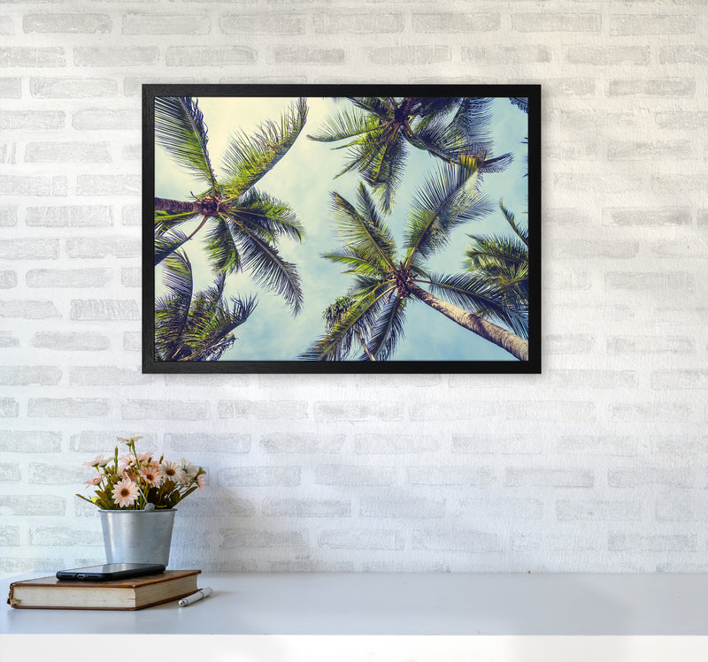 The Palms Photography Art Print by Seven Trees Design A2 White Frame