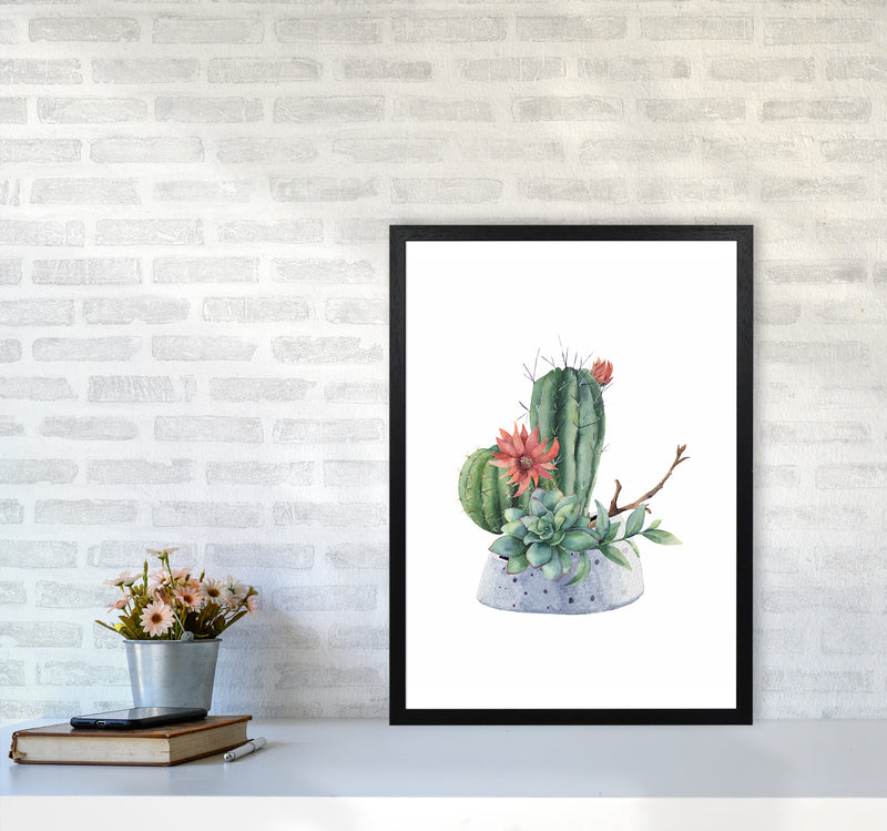 The Watercolor Cactus Art Print by Seven Trees Design A2 White Frame
