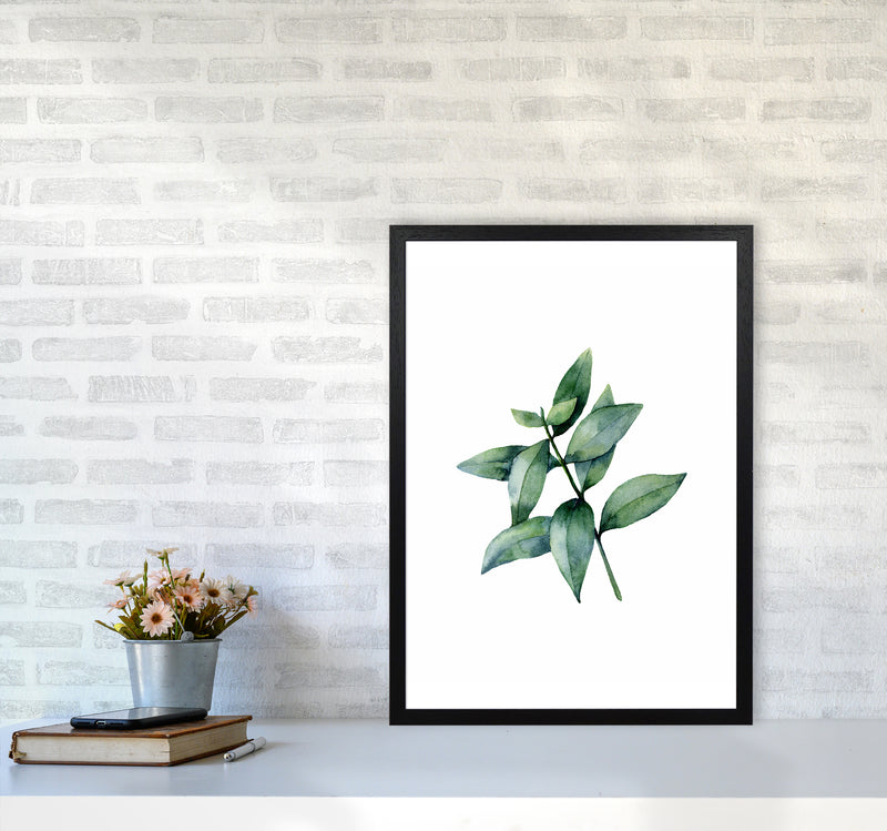 Watercolor Eucalyptus III Art Print by Seven Trees Design A2 White Frame