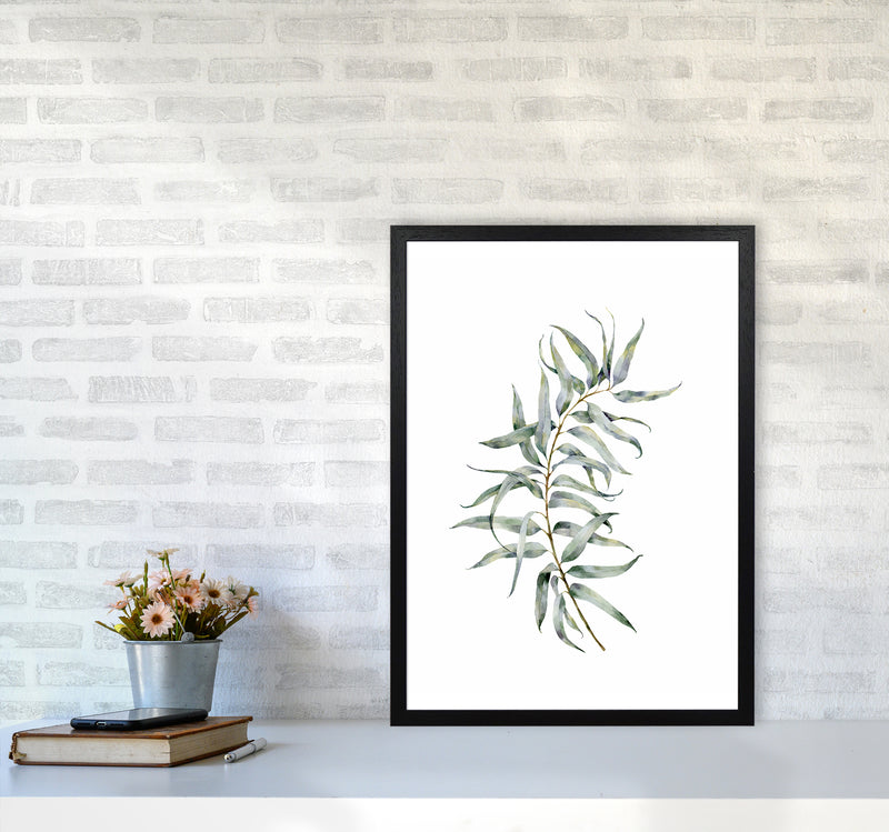Watercolor Eucalyptus IV Art Print by Seven Trees Design A2 White Frame