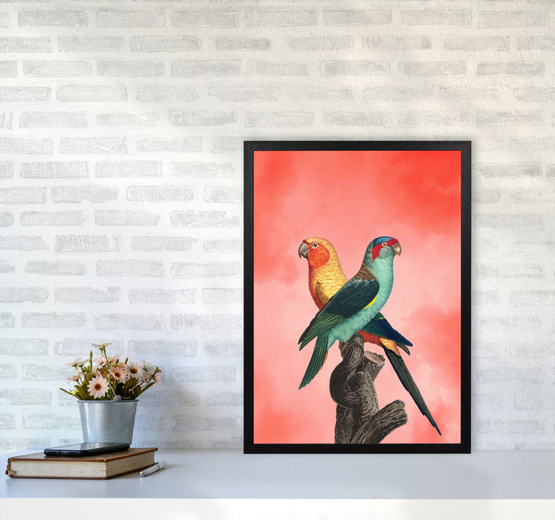 The Birds and the pink sky I Art Print by Seven Trees Design A2 White Frame