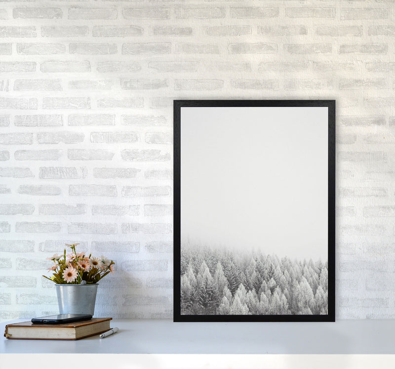 The White Forest Art Print by Seven Trees Design A2 White Frame