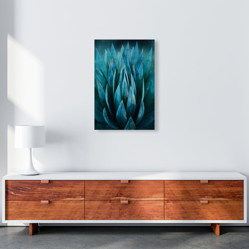Blue Succulent Art Print by Seven Trees Design A2 Canvas