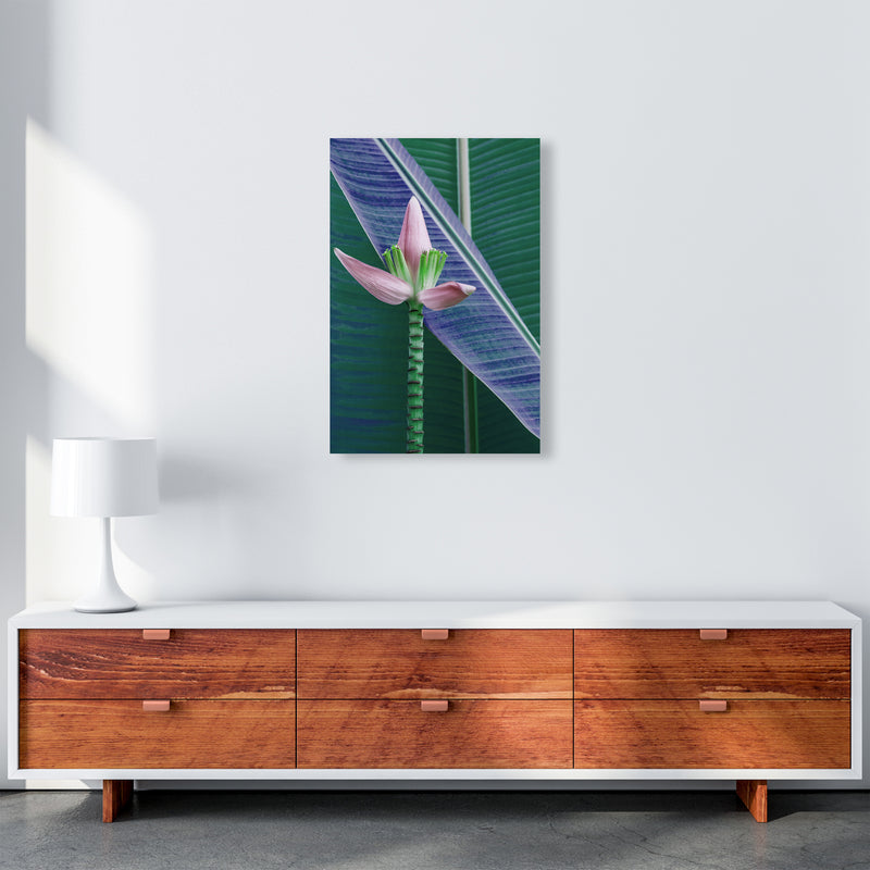 The Banana Flower Art Print by Seven Trees Design A2 Canvas