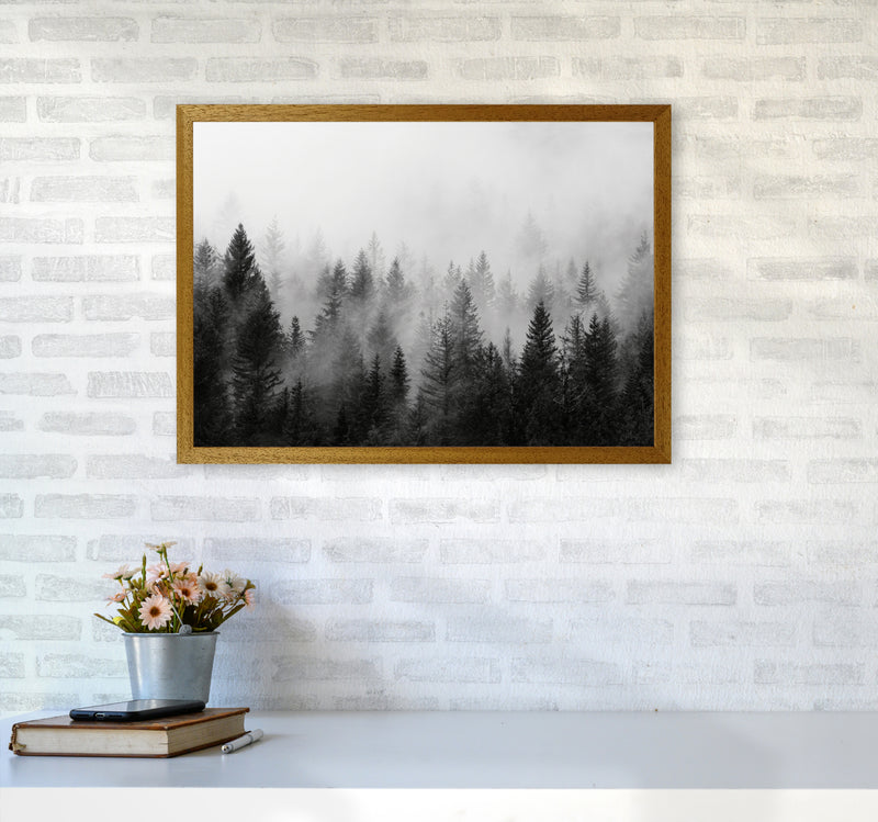 B&W Forest Photography Art Print by Seven Trees Design A2 Print Only