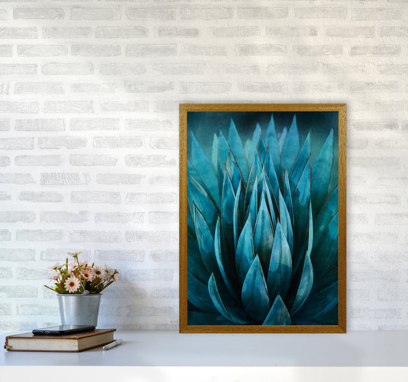 Blue Succulent Art Print by Seven Trees Design A2 Print Only