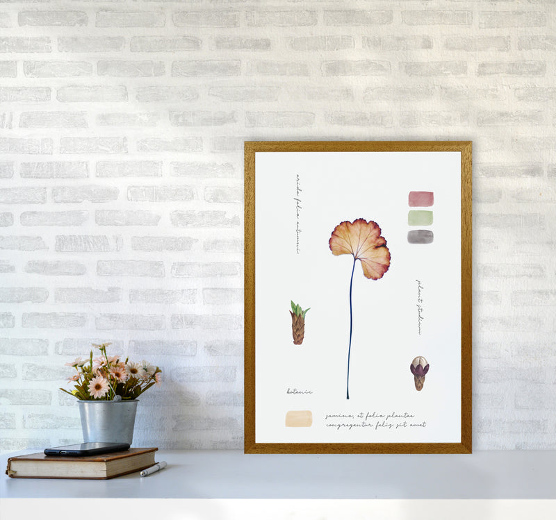 Botanic Notes Art Print by Seven Trees Design A2 Print Only