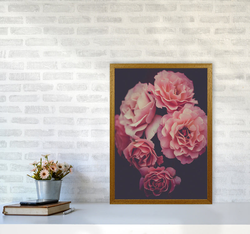Dreamy Roses Art Print by Seven Trees Design A2 Print Only