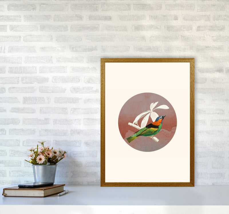 Bird Collage II Art Print by Seven Trees Design A2 Print Only