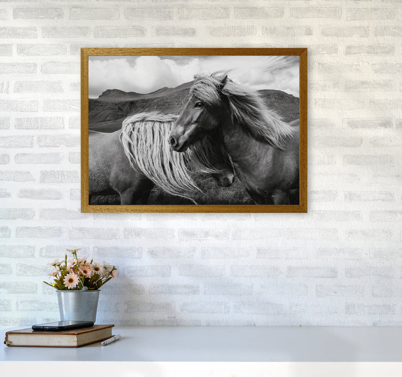 Horses In The Sky Photography Art Print by Seven Trees Design A2 Print Only