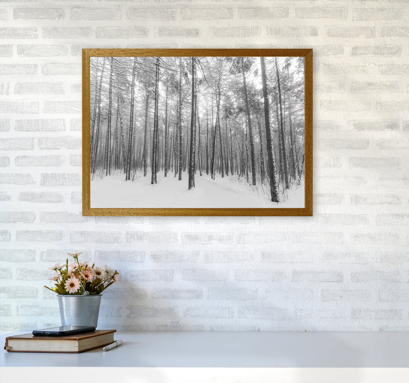 Let it snow forest Art Print by Seven Trees Design A2 Print Only