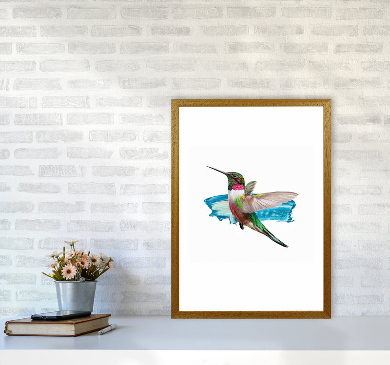 Modern Humingbird II Art Print by Seven Trees Design A2 Print Only