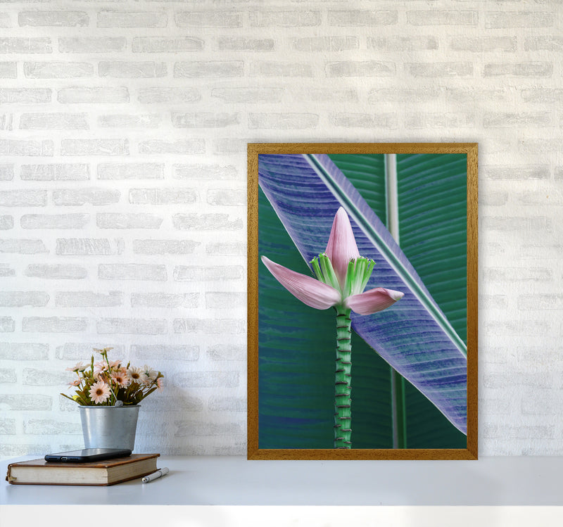 The Banana Flower Art Print by Seven Trees Design A2 Print Only